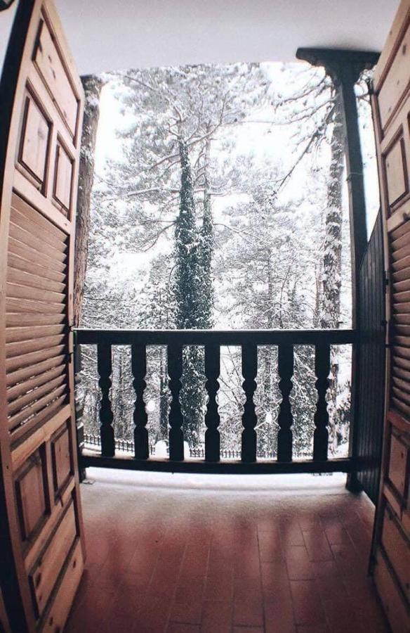 Milionis Forest Hotel Grevena Exterior photo